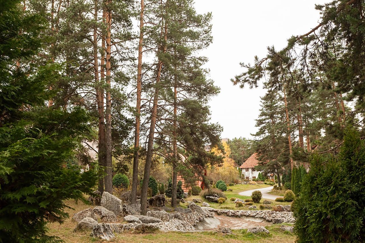 Goldpine Apartments Златибор Екстер'єр фото